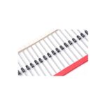 دیود 1N4007 (بسته 10 عددی)