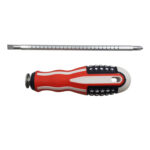 پیچ گوشتی دوطرفه TP-789