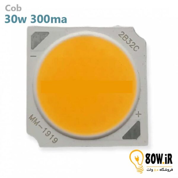 Cob 30w 300ma 1919 افتابی
