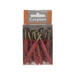 پیچ و رولپلاک لبه دار کاسپین