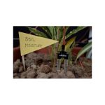 ماژول سنسور رطوبت سنج خاک و زمین YL-69