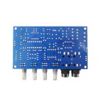 برد اکو و پری آمپلی فایر حرفه ای XH-M173