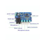 برد اکو و پری آمپلی فایر حرفه ای XH-M173