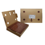 میکرو فیوز گرد 3.15A پکیج TR5